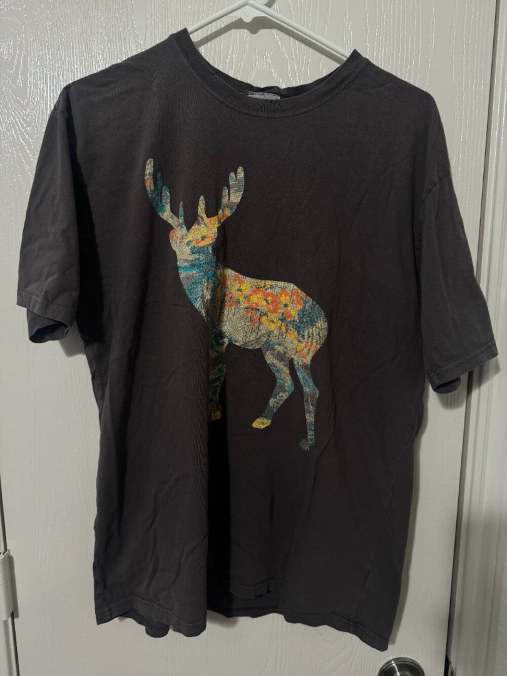 Smithsonian National Park Series Mount Rainier T-Shirt Charcoal Men's Medium